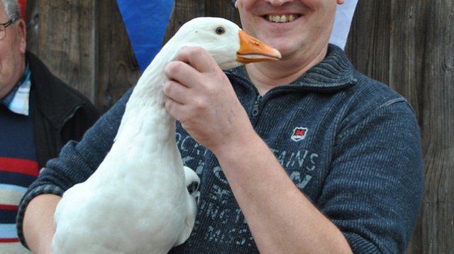 Kans met een Gans (zondag 22 oktober 2017)